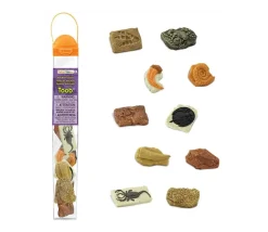 Anciens fossiles 4/5 cm - paléontologie 10 pièces