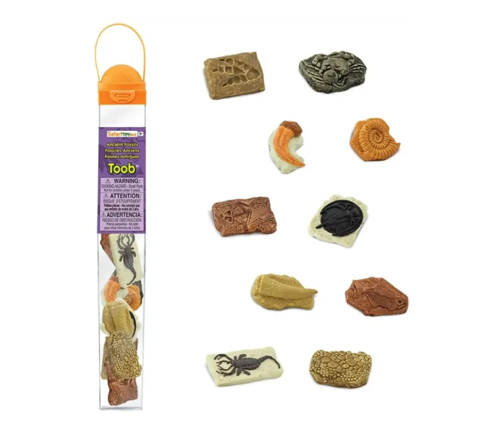 Anciens fossiles 4/5 cm - paléontologie 10 pièces