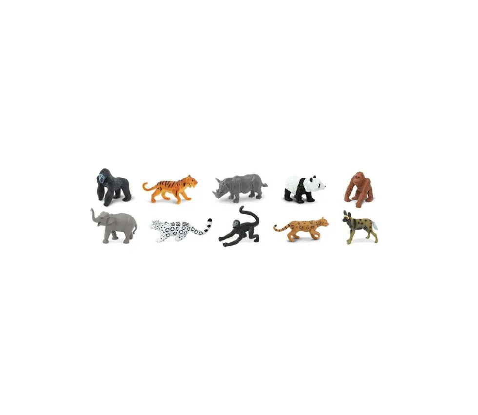 10 Animaux en danger - espèces terrestres menacées dans un tube de rangement