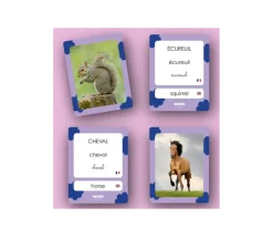 Cartes Flash - Matériel de vocabulaire, lecture et écriture - ANIMAUX