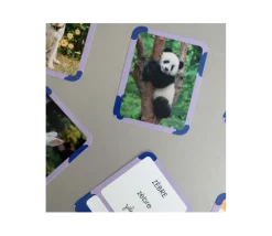 Cartes Flash - Matériel de vocabulaire, lecture et écriture - ANIMAUX