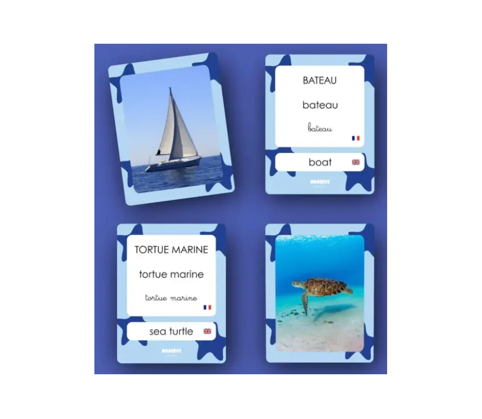 Cartes Flash - Matériel de vocabulaire, lecture et écriture - MERS & OCÉANS