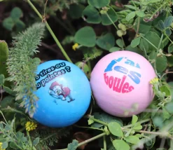 Cochonnet FUN