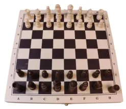 Coffret pliant échec / backgammon bois 29 cm