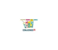 Conju Dingo CE2 - jeu des conjugaisons