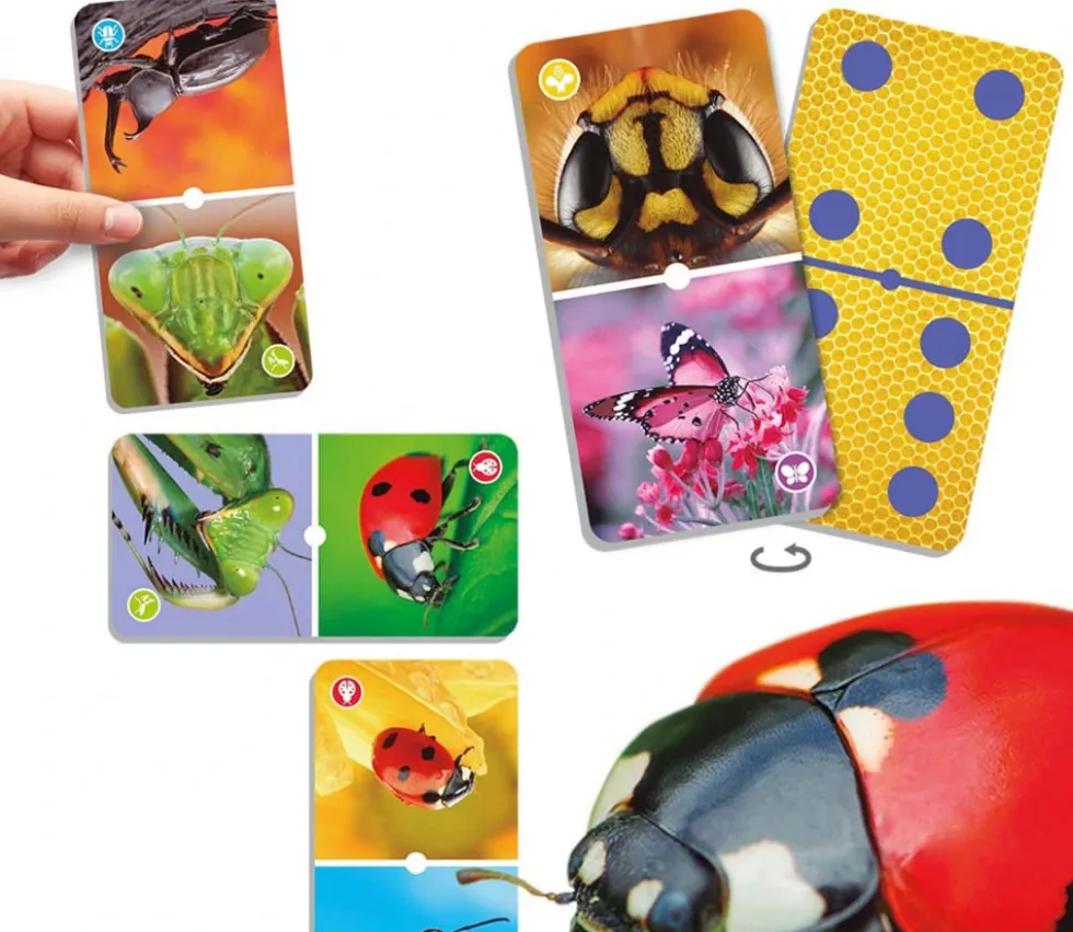 Domino nature : insectes