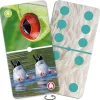 Domino nature : Zoom sur les animaux