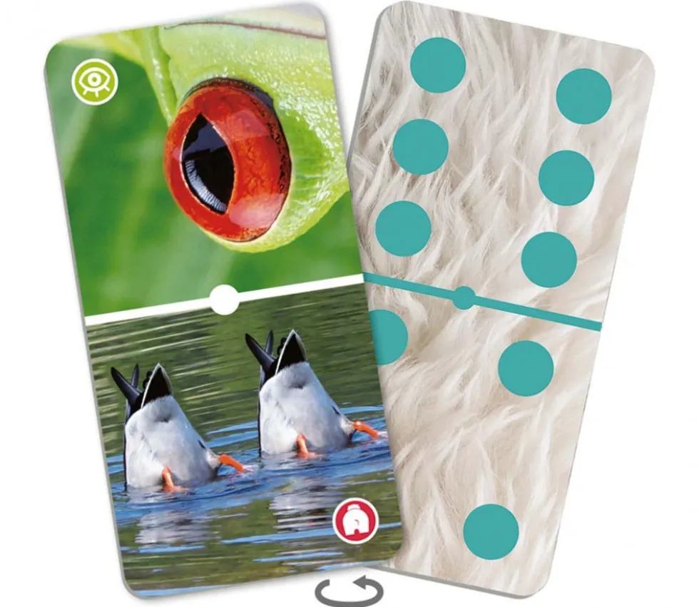 Domino nature : Zoom sur les animaux