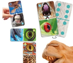 Domino nature : Zoom sur les animaux