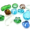 12 Galets coquillages poissons brillants
