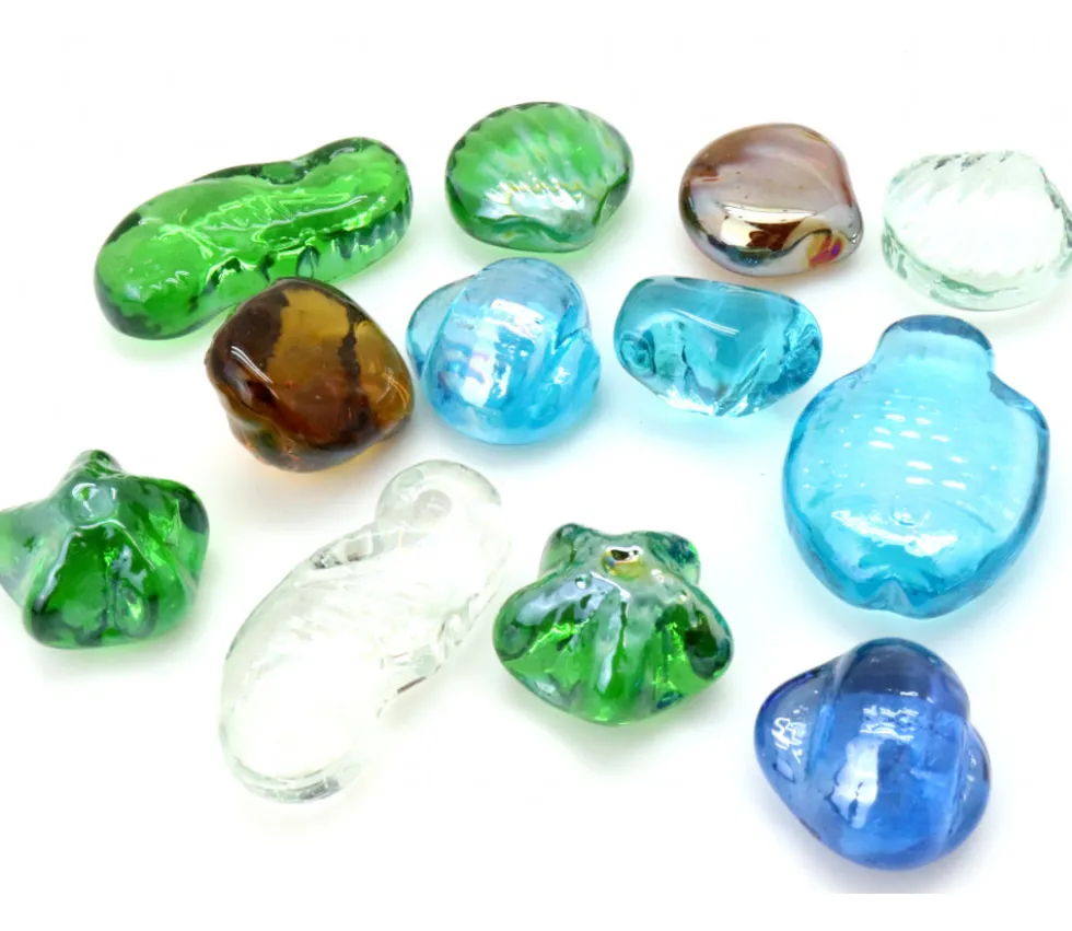 12 Galets coquillages poissons brillants
