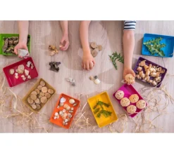 6 grandes barquettes plateaux colorés Bioplastique 23 x 14.9 x 4 cm GM