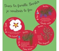 Huiles essentielles découverte - Jeu de mémo