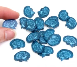 20 jetons cerveaux 20 x 15 mm pour jeux