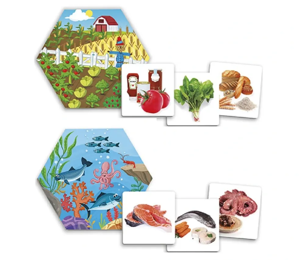 Jeu d'où viennent les aliments ?