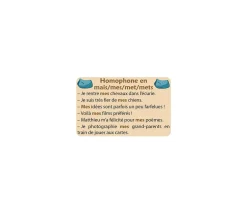 Jeu Ortho Cat's 2 homophones grammaticaux orthographe CE1-collège