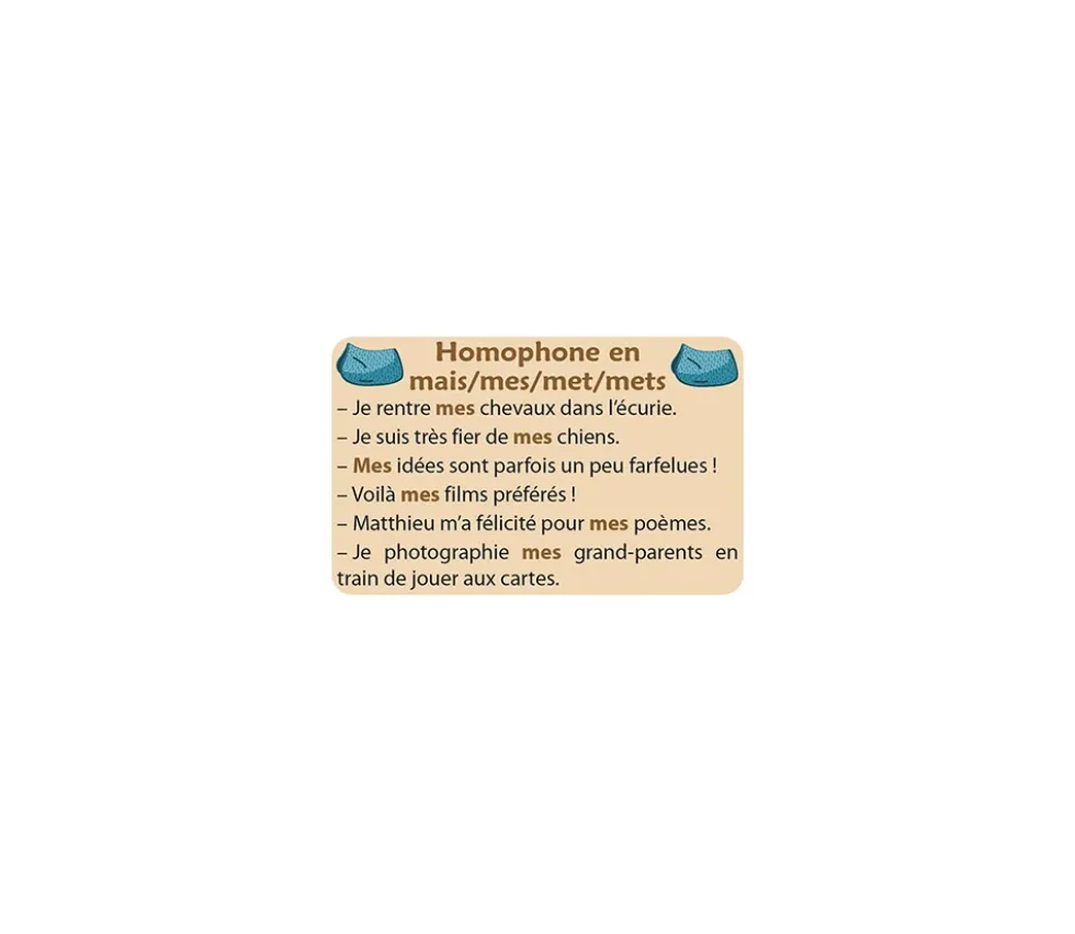 Jeu Ortho Cat's 2 homophones grammaticaux orthographe CE1-collège
