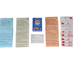 Jeu Ortho Cat's 1 terminaisons é i u - orthographe du CE1 au collège