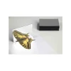 25 mini Miroirs 8.7 x 6.2 cm en plastique