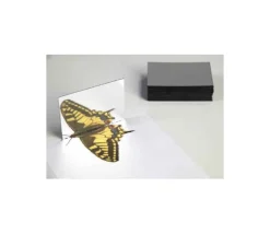 25 mini Miroirs 8.7 x 6.2 cm en plastique