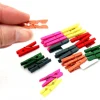 24 Mini pinces à linge en bois coloré - 25 mm
