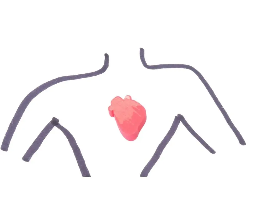 Pion Coeur humain bonne santé et malade en bois