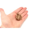 5 Pions bouddha doré 2.5 cm