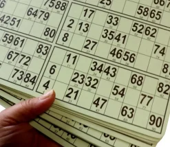 10 planches de 6 cartons loto rigides