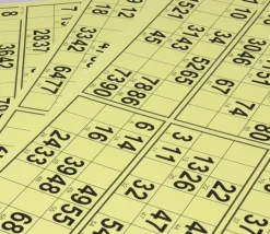 10 planches de 6 cartons loto rigides