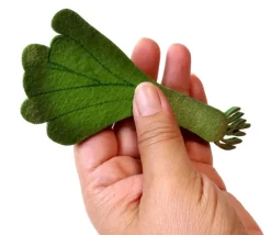 Poireau en feutrine 13 x 6.3 x 0.5 cm légume jouet