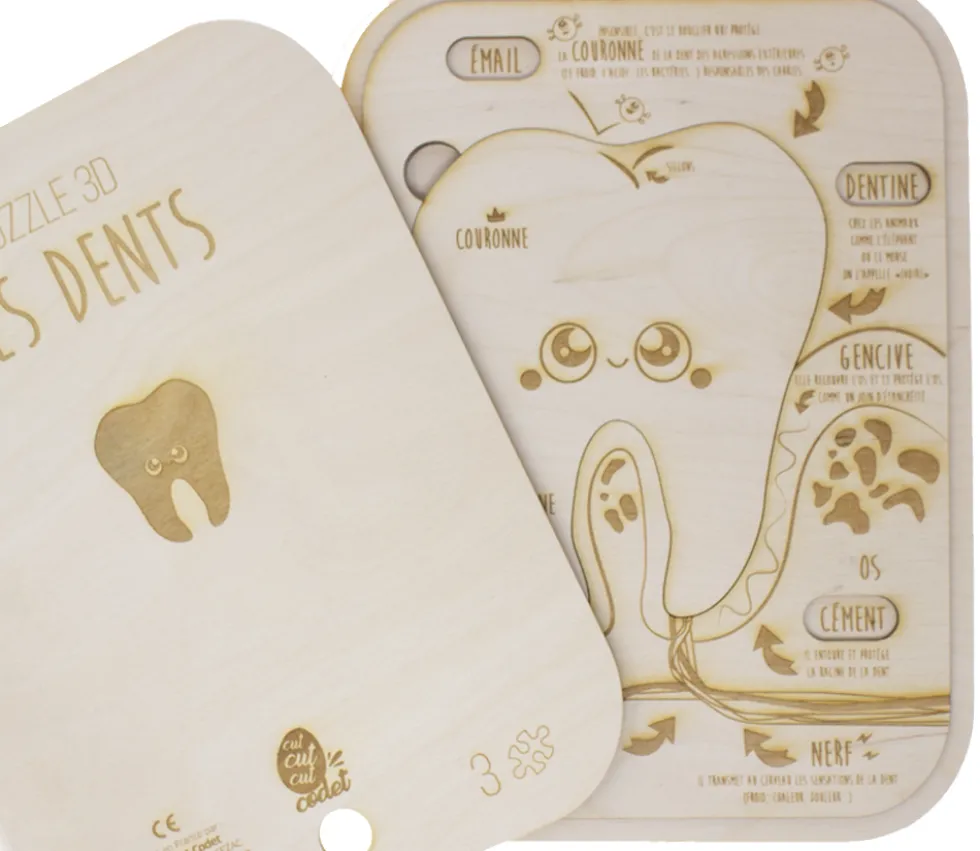 Puzzle éducatif en bois - Les dents