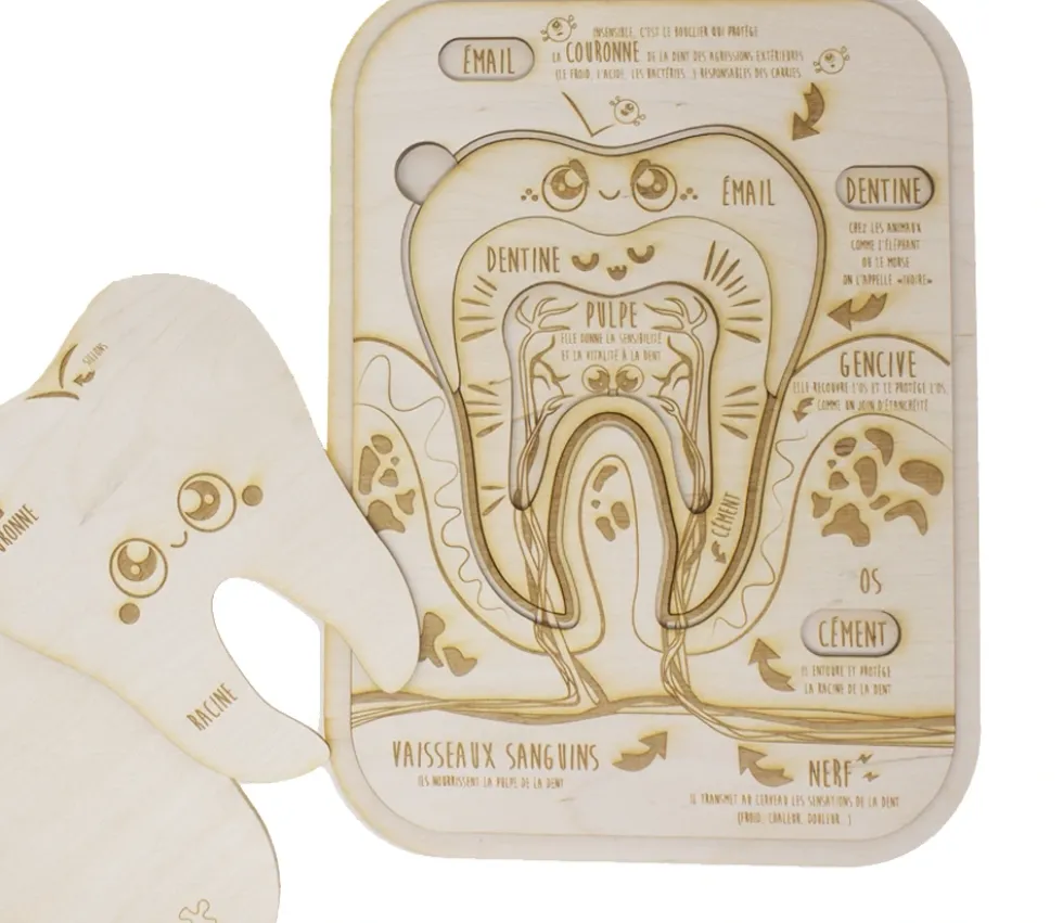 Puzzle éducatif en bois - Les dents