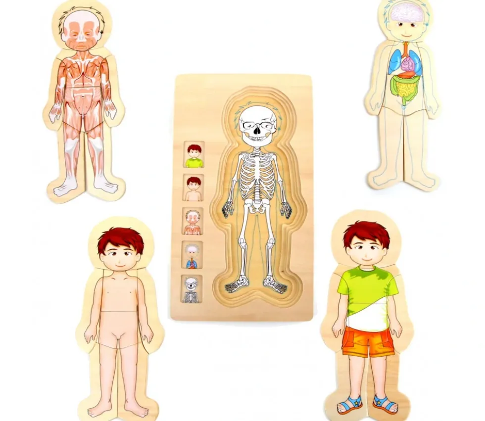 Puzzles anatomie garçon - 4 puzzles à étage
