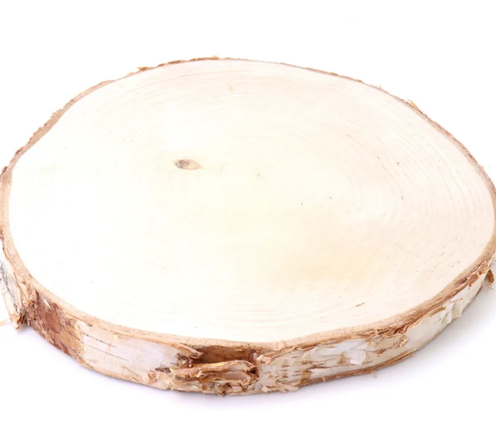 Rondelle géante en bois brut avec écorce - entre 18 et 22 cm