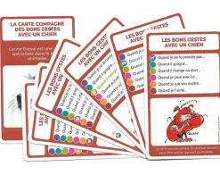 SoCartes Jeu de cartes éducatif façon 7 familles